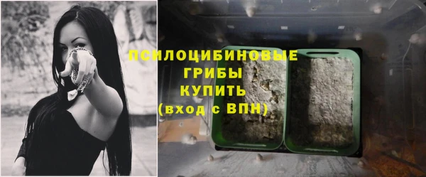 молекула духа Карпинск