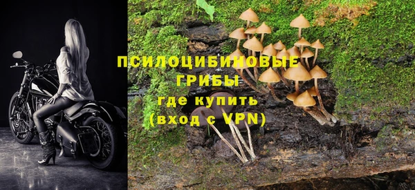 молекула духа Карпинск