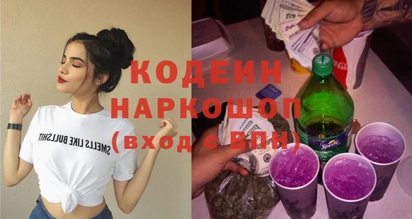 молекула духа Карпинск
